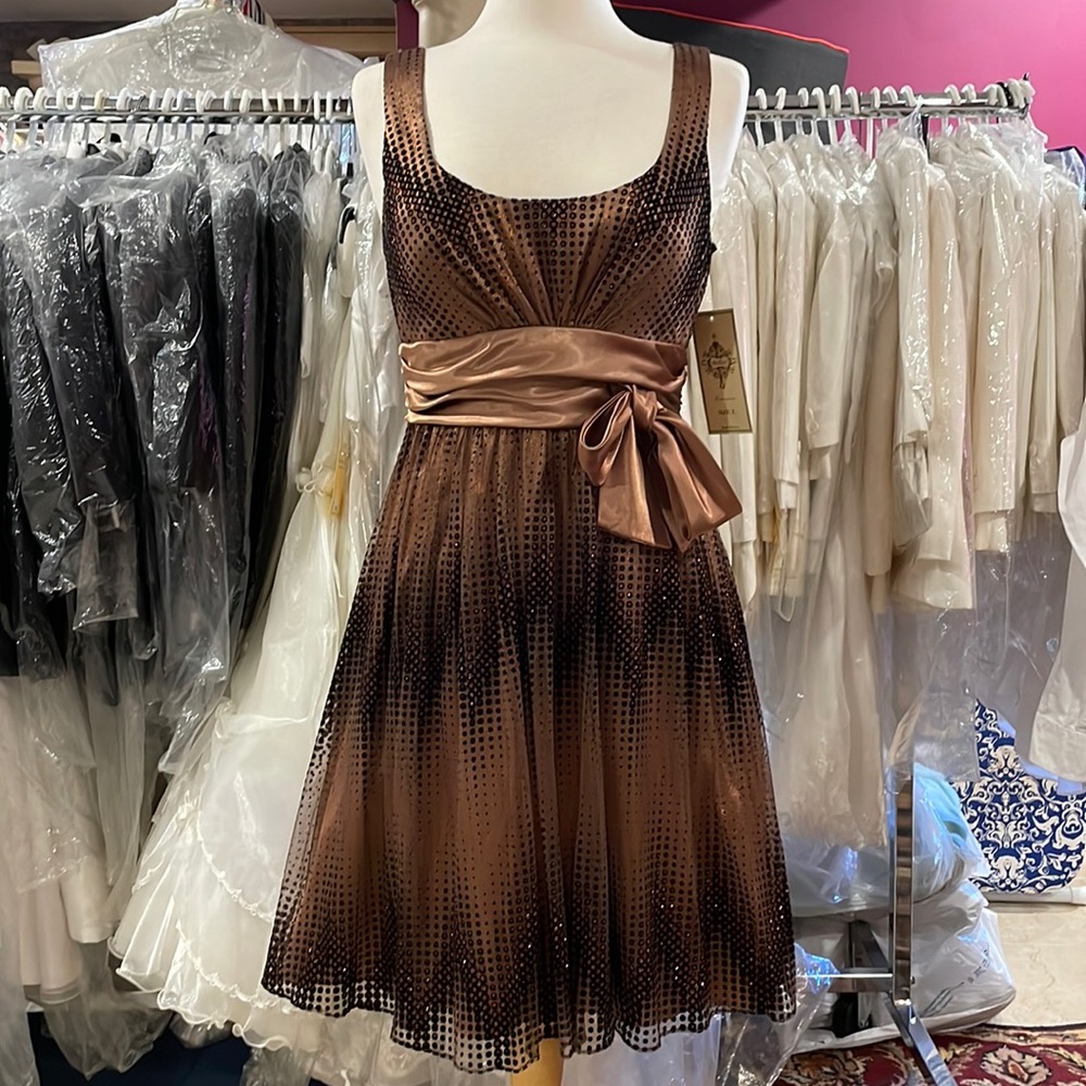 Shimmering Brown Dress